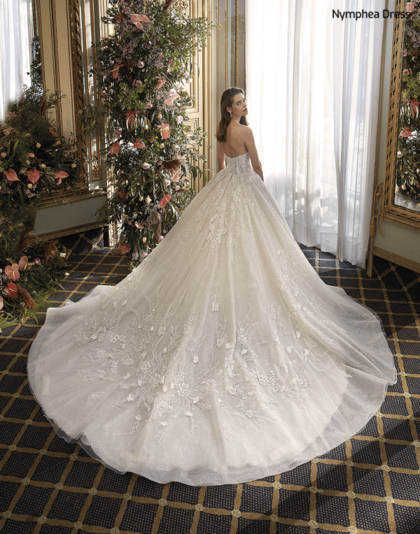 Robe de Mariée Demetrios Platinium Style DP492 by Nymphea Dress – Image 4